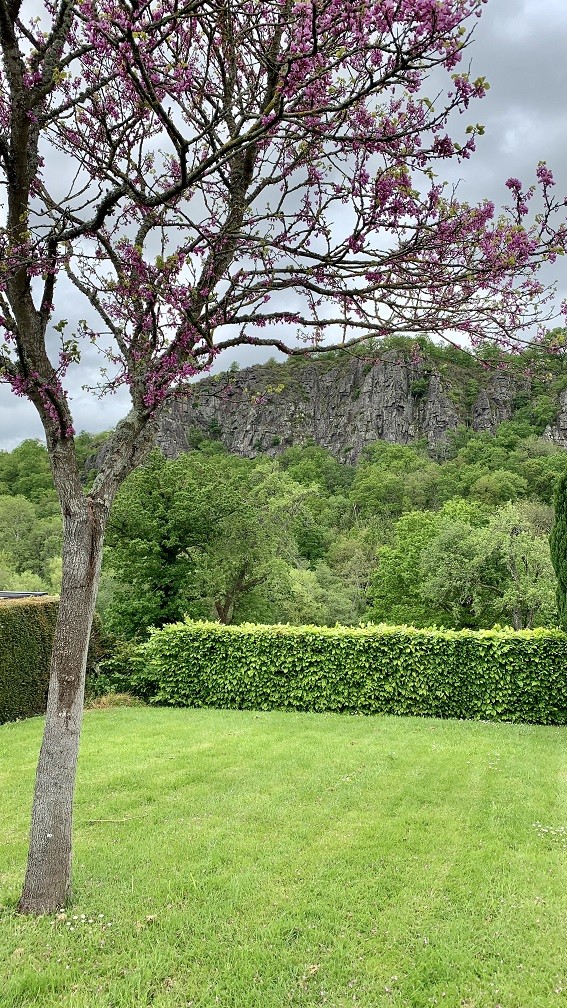 Vue depuis la pelouse